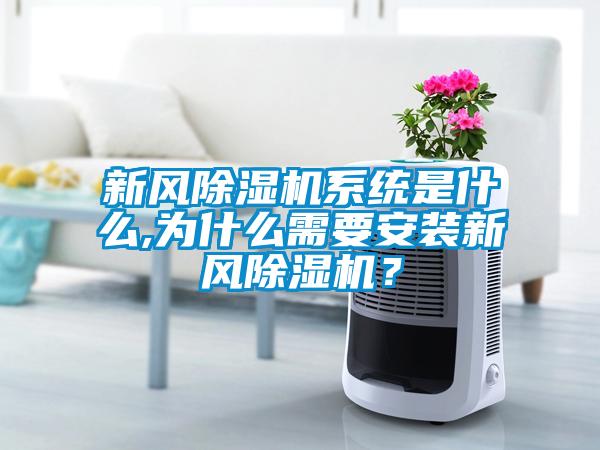 新風(fēng)除濕機系統(tǒng)是什么,為什么需要安裝新風(fēng)除濕機？