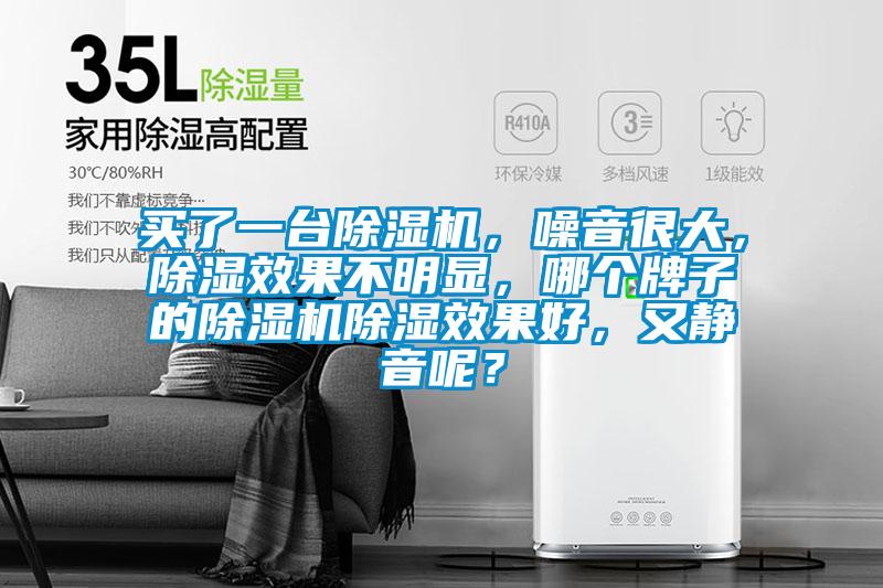 買了一臺(tái)除濕機(jī)，噪音很大，除濕效果不明顯，哪個(gè)牌子的除濕機(jī)除濕效果好，又靜音呢？