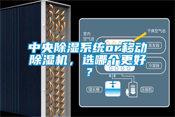 中央除濕系統(tǒng)or移動除濕機，選哪個更好？