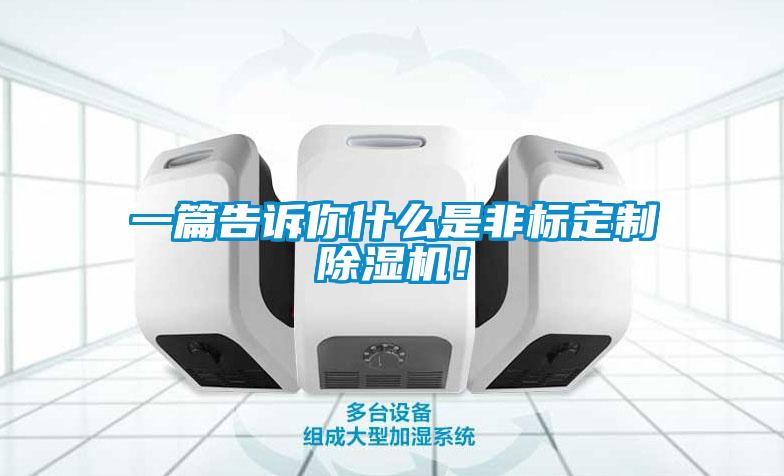 一篇告訴你什么是非標(biāo)定制除濕機(jī)！
