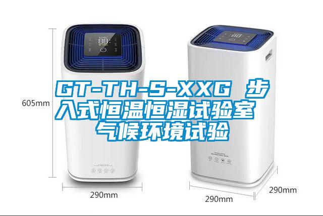 GT-TH-S-XXG 步入式恒溫恒濕試驗(yàn)室 氣候環(huán)境試驗(yàn)