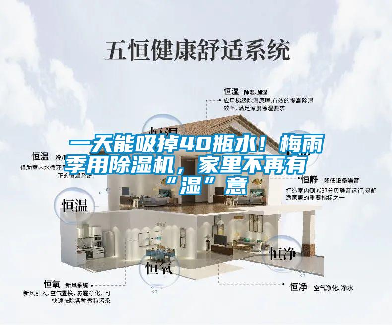 一天能吸掉40瓶水！梅雨季用除濕機(jī)，家里不再有“濕”意