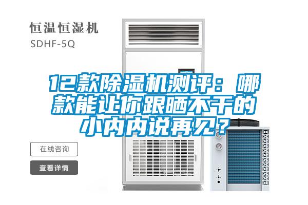 12款除濕機測評：哪款能讓你跟曬不干的小內(nèi)內(nèi)說再見？