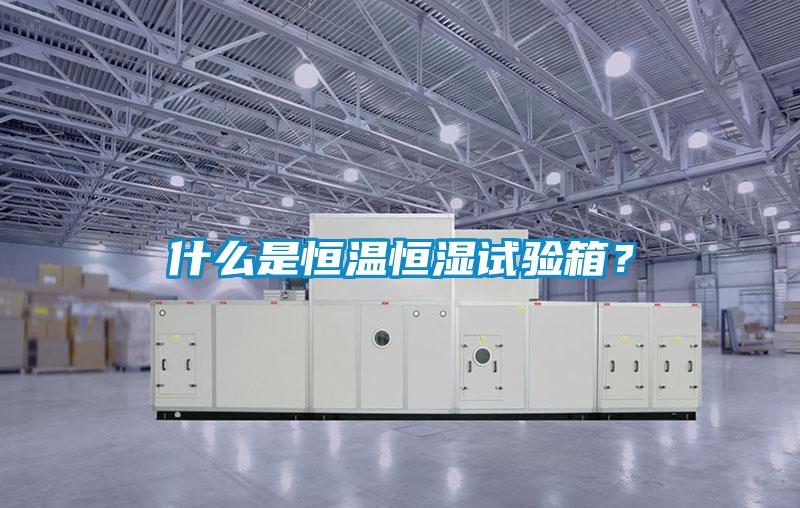 什么是恒溫恒濕試驗(yàn)箱？