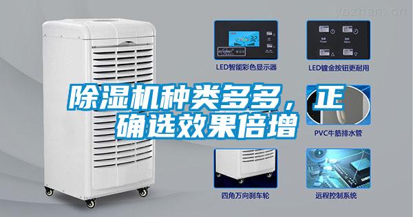 除濕機種類多多，正確選效果倍增