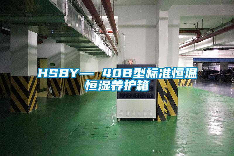 HSBY— 40B型標(biāo)準(zhǔn)恒溫恒濕養(yǎng)護(hù)箱