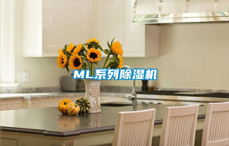 ML系列除濕機