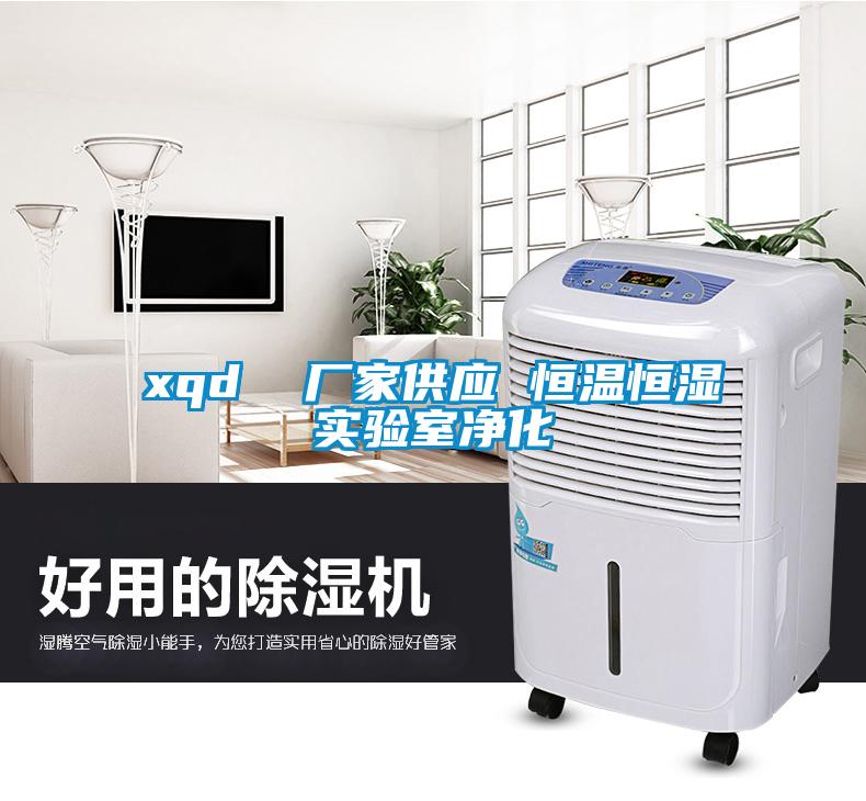 xqd  廠家供應(yīng) 恒溫恒濕實(shí)驗(yàn)室凈化