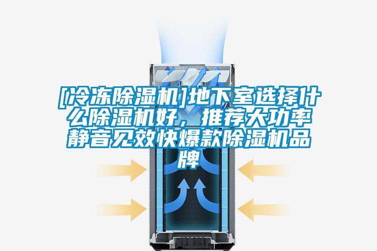 [冷凍除濕機]地下室選擇什么除濕機好，推薦大功率靜音見效快爆款除濕機品牌