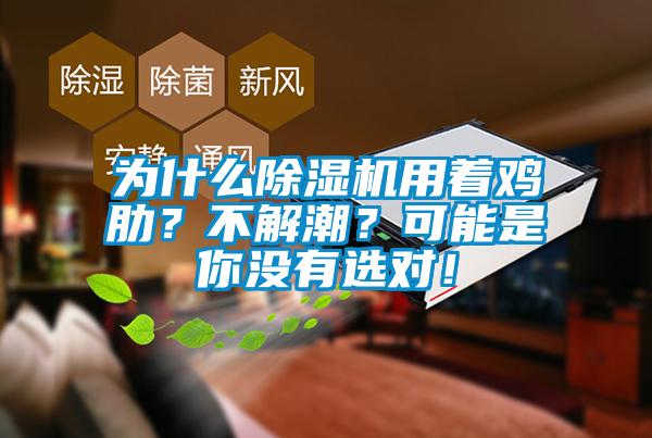 為什么除濕機用著雞肋？不解潮？可能是你沒有選對！