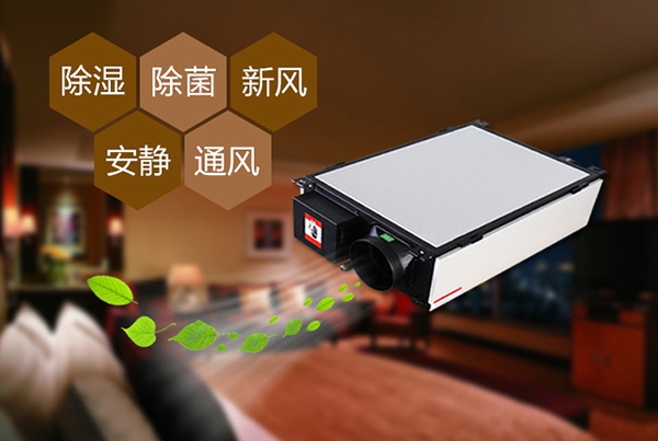 出梅？再等等，在家該如何防潮除濕？