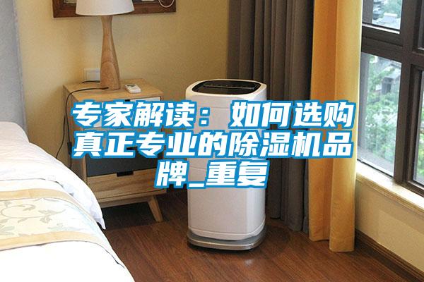 專家解讀：如何選購真正專業(yè)的除濕機(jī)品牌_重復(fù)