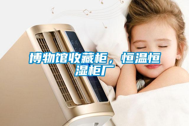 博物館收藏柜，恒溫恒濕柜廠