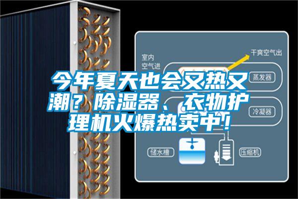 今年夏天也會(huì)又熱又潮？除濕器、衣物護(hù)理機(jī)火爆熱賣中！