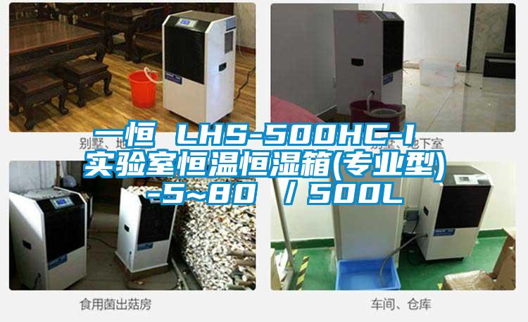 一恒 LHS-500HC-I 實(shí)驗(yàn)室恒溫恒濕箱(專(zhuān)業(yè)型) -5~80℃／500L