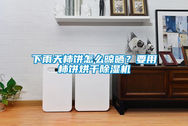 下雨天柿餅怎么晾曬？要用柿餅烘干除濕機