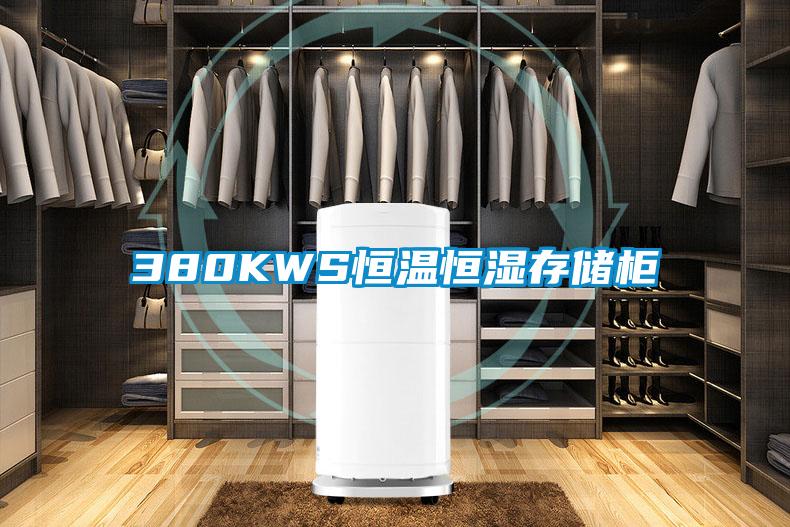 380KWS恒溫恒濕存儲柜