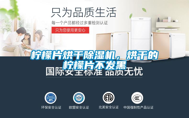 檸檬片烘干除濕機(jī)，烘干的檸檬片不發(fā)黑