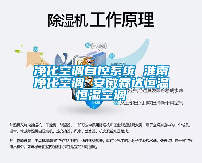 凈化空調(diào)自控系統(tǒng) 淮南凈化空調(diào) 安徽霖達恒溫恒濕空調(diào)