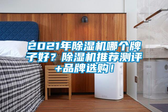 2021年除濕機哪個牌子好？除濕機推薦測評+品牌選購！