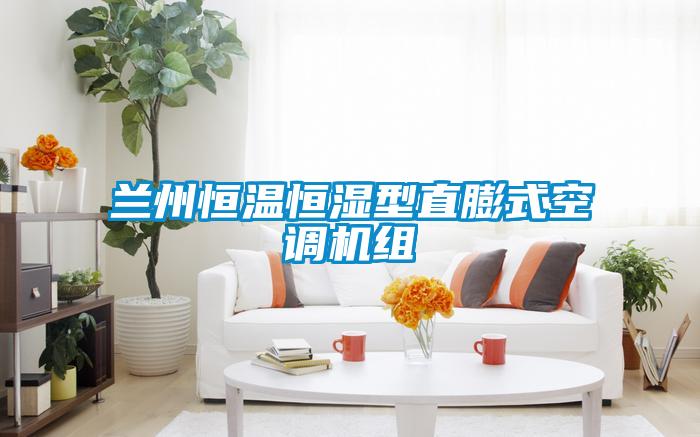 蘭州恒溫恒濕型直膨式空調(diào)機組