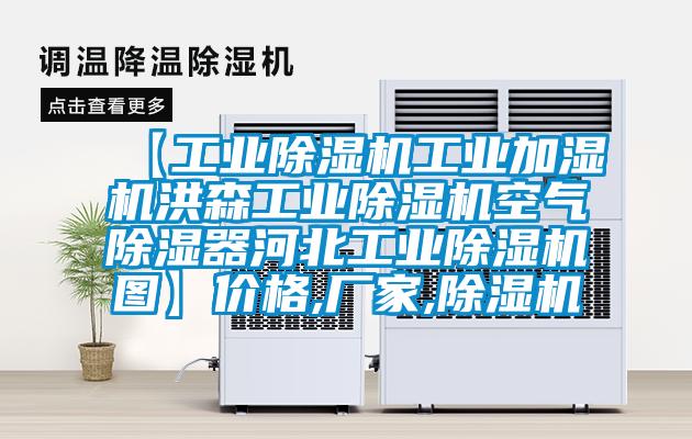 【工業(yè)除濕機(jī)工業(yè)加濕機(jī)洪森工業(yè)除濕機(jī)空氣除濕器河北工業(yè)除濕機(jī)圖】價格,廠家,除濕機(jī)