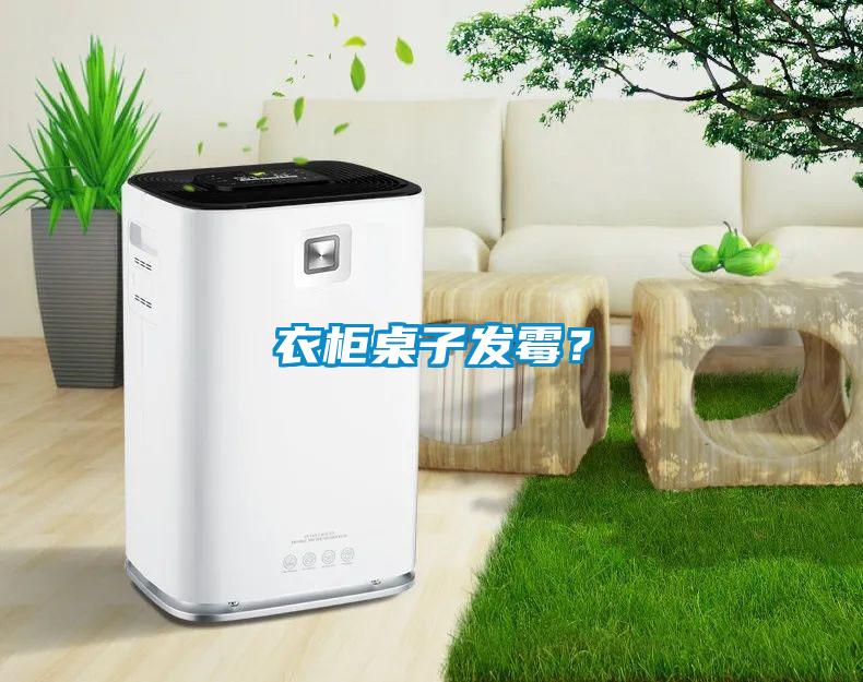 衣柜桌子發(fā)霉？
