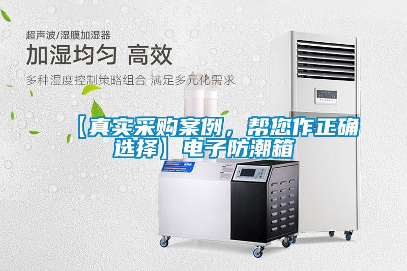 【真實(shí)采購(gòu)案例，幫您作正確選擇】電子防潮箱