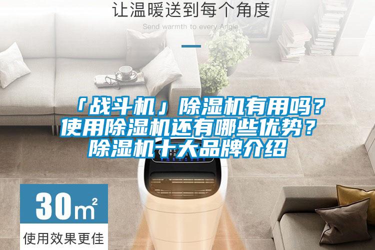 「戰(zhàn)斗機」除濕機有用嗎？使用除濕機還有哪些優(yōu)勢？除濕機十大品牌介紹