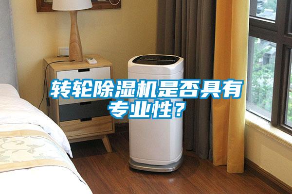 轉(zhuǎn)輪除濕機(jī)是否具有專業(yè)性？