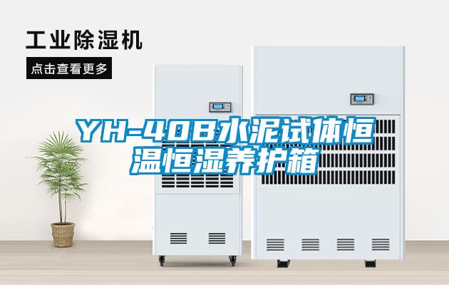 YH-40B水泥試體恒溫恒濕養(yǎng)護(hù)箱