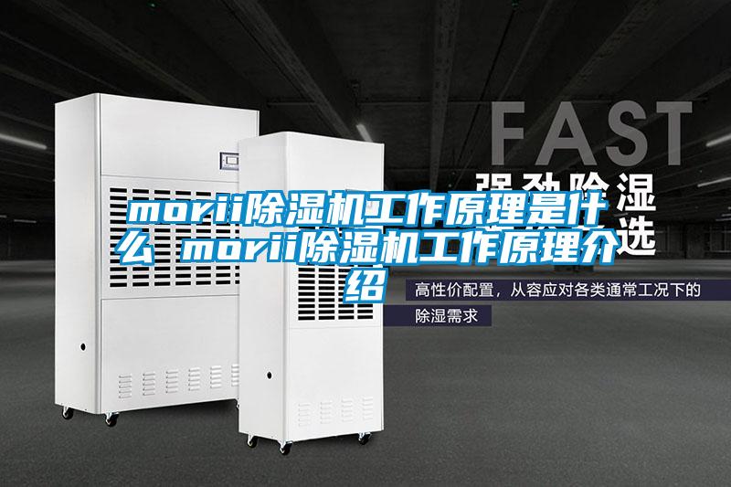 morii除濕機工作原理是什么 morii除濕機工作原理介紹