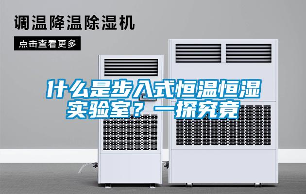 什么是步入式恒溫恒濕實(shí)驗(yàn)室？一探究竟