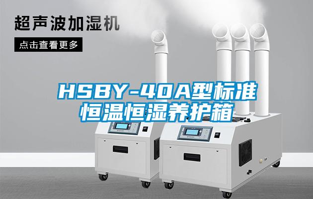 HSBY-40A型標(biāo)準(zhǔn)恒溫恒濕養(yǎng)護箱