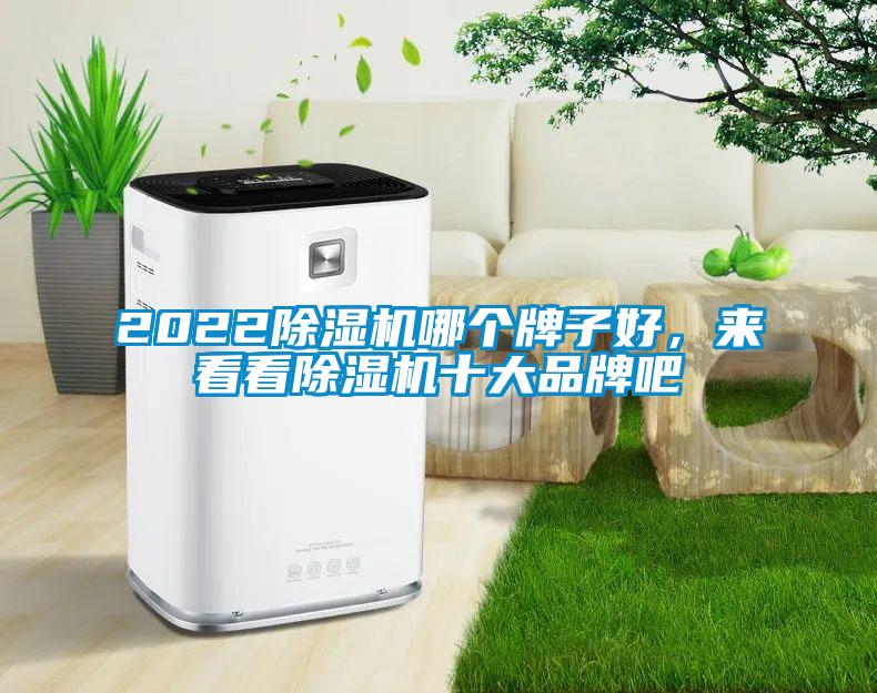 2022除濕機(jī)哪個(gè)牌子好，來看看除濕機(jī)十大品牌吧