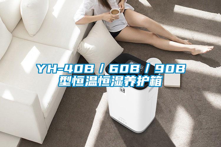 YH-40B／60B／90B型恒溫恒濕養(yǎng)護(hù)箱