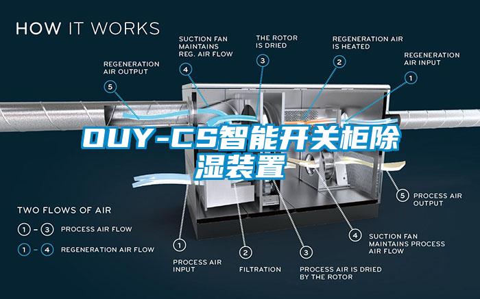 OUY-CS智能開(kāi)關(guān)柜除濕裝置
