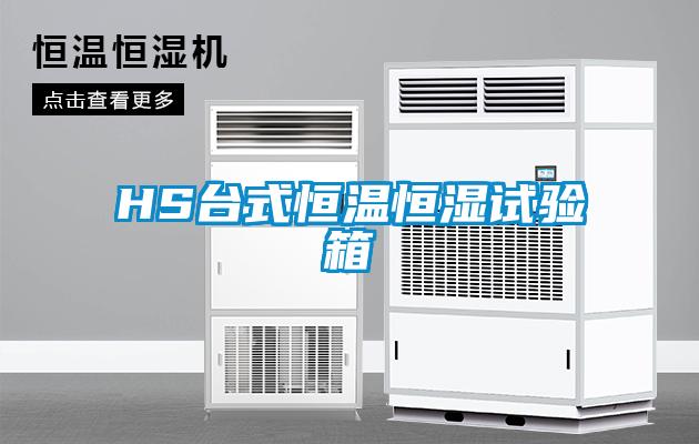 HS臺(tái)式恒溫恒濕試驗(yàn)箱