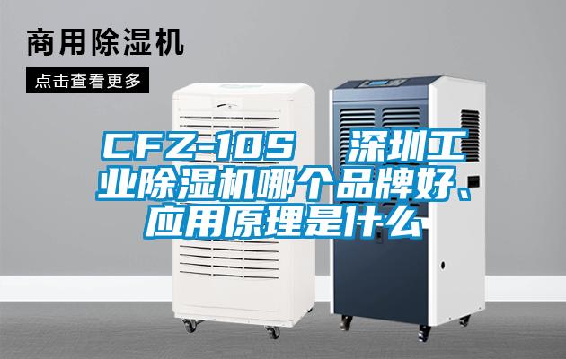 CFZ-10S  深圳工業(yè)除濕機哪個品牌好、應(yīng)用原理是什么