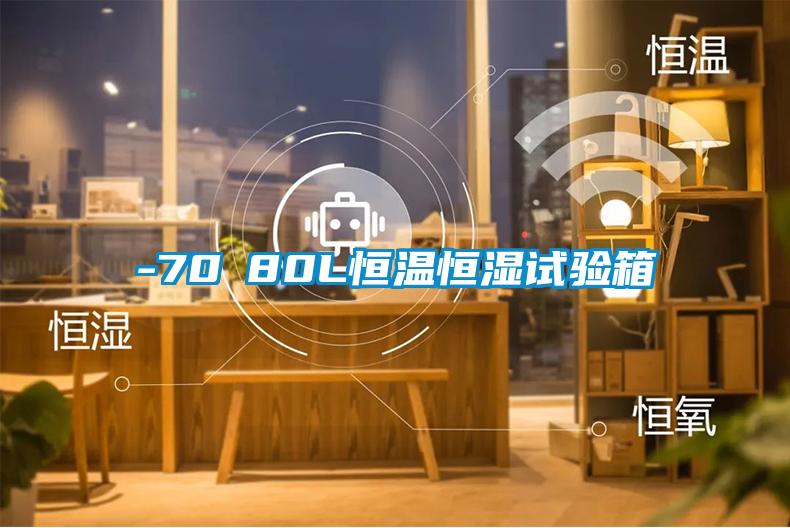 -70℃80L恒溫恒濕試驗箱