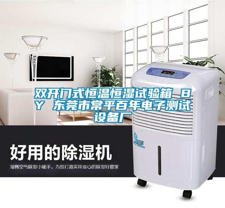 雙開門式恒溫恒濕試驗(yàn)箱 BY 東莞市常平百年電子測(cè)試設(shè)備廠
