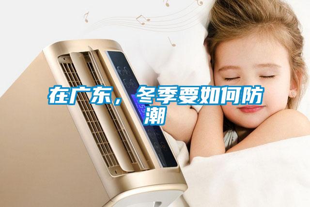 在廣東，冬季要如何防潮