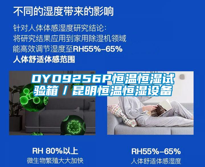 OYO9256P恒溫恒濕試驗箱／昆明恒溫恒濕設(shè)備