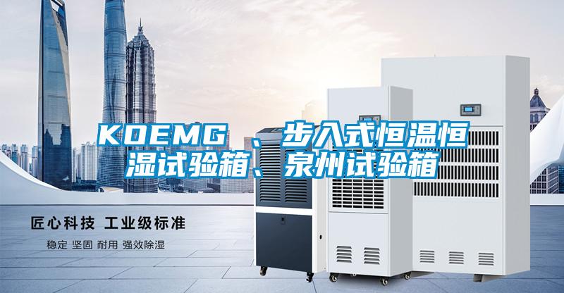 KOEMG 、步入式恒溫恒濕試驗(yàn)箱、泉州試驗(yàn)箱