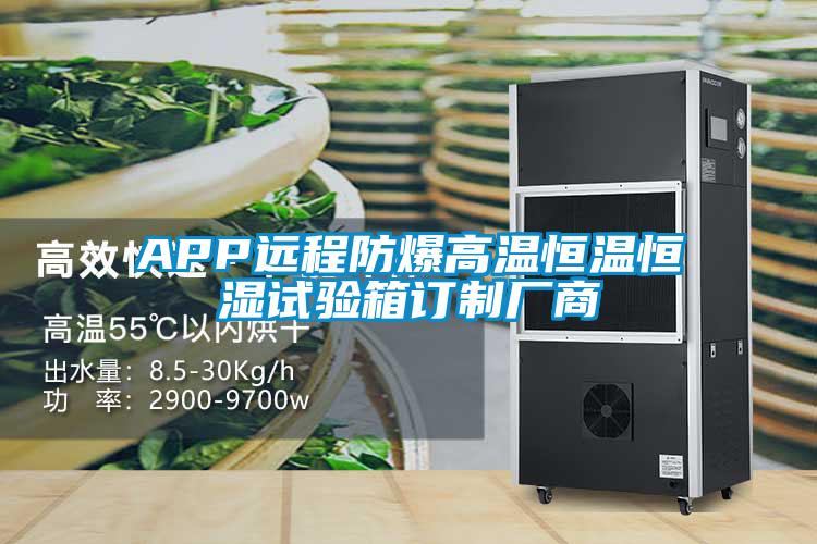 APP遠(yuǎn)程防爆高溫恒溫恒濕試驗(yàn)箱訂制廠商