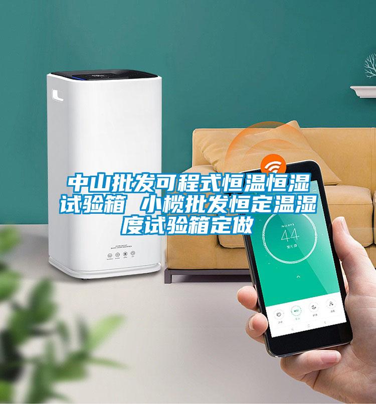 中山批發(fā)可程式恒溫恒濕試驗(yàn)箱 小欖批發(fā)恒定溫濕度試驗(yàn)箱定做