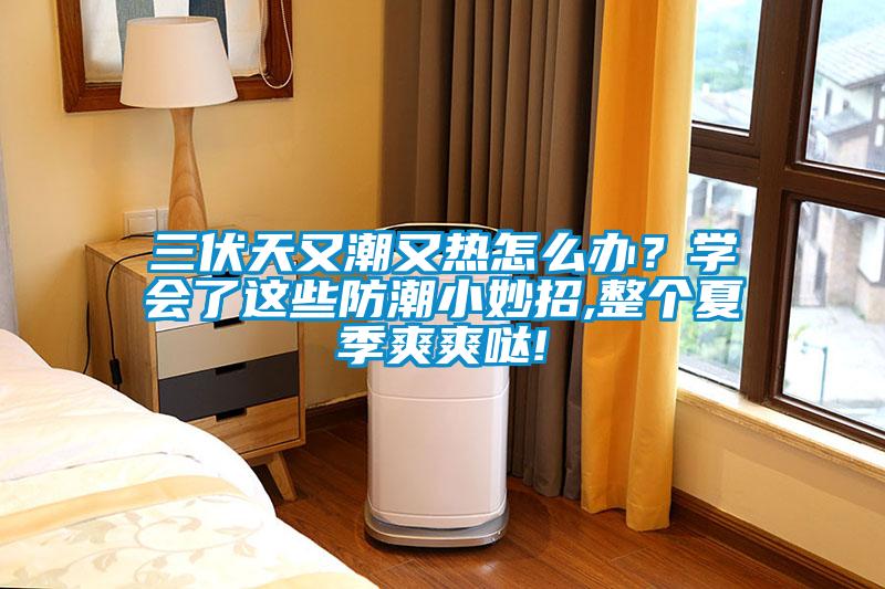 三伏天又潮又熱怎么辦？學(xué)會(huì)了這些防潮小妙招,整個(gè)夏季爽爽噠!