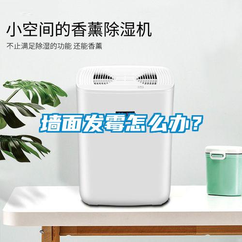 墻面發(fā)霉怎么辦？