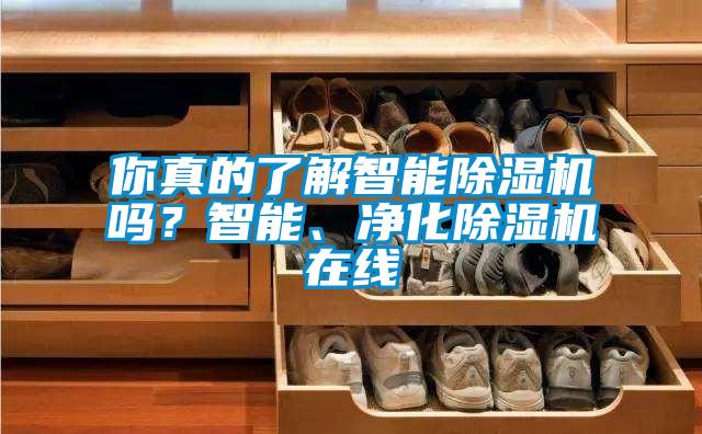 你真的了解智能除濕機嗎？智能、凈化除濕機在線