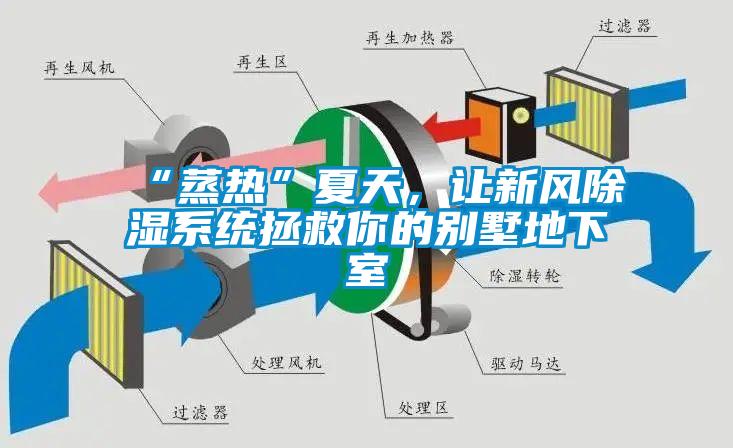 “蒸熱”夏天，讓新風(fēng)除濕系統(tǒng)拯救你的別墅地下室